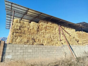 прикроватный стол: Арпа саман сатылат 80 сомдон, навестин астында тазасы 100 сом