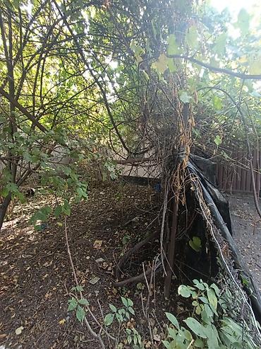 Продажа коттеджей и домов: 📌В селе Беловодское в районе центра продается дом из 4-х комнат на at lalafo.kg — 6 Продажа коттеджей и домов: 📌В селе Беловодское в районе центра продается дом из 4-х комнат на — 6