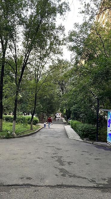 продажи: 3 комнаты, 65 м², БГУ Индивидуалка, 8 этаж, Свежий ремонт — 5