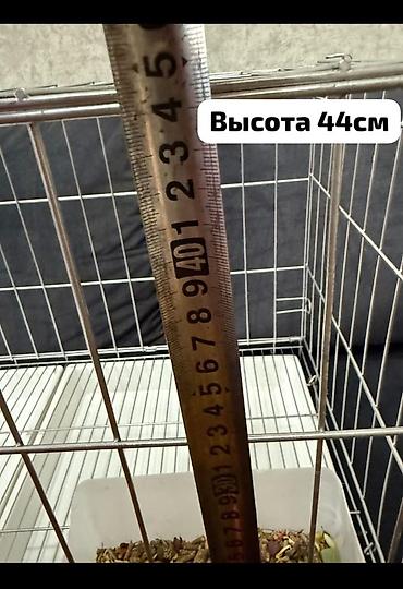 клетки для канареек: Металлическая клетка для животных/грызунов - Габариты: длина 72 см — 2