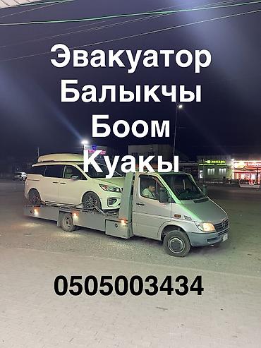 работа вышивка: С лебедкой, С ломаной платформой — 1