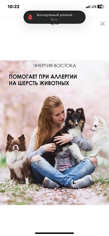 7 дней таблетки: БАД Антигистаминное средство для снятия симптомов аллергии. Облегчает — 5