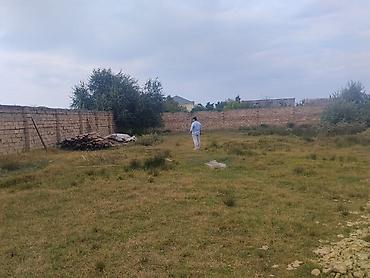 torpaq deşən: 6 sot, Tikinti, Mülkiyyətçi, Kupça (Çıxarış) — 2