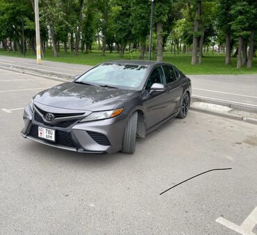 машина тоёта: Toyota Camry: 2019 г., Бензин, Седан