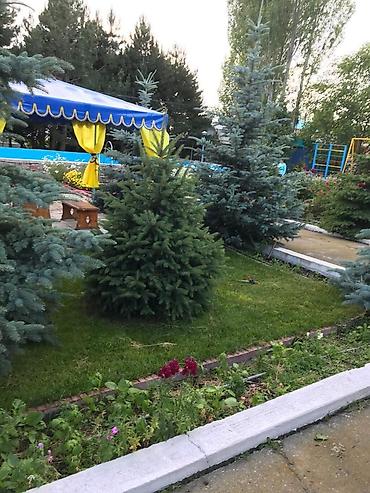 Продажа другой коммерческой недвижимости: Продаётся пансионат "Пристань" на Иссыкуле село Григорьевка. Участок — 4