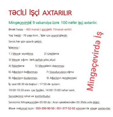 günlük işlər bakı: Bağban tələb olunur, Təcrübəsiz, 1/1, Tam iş günü