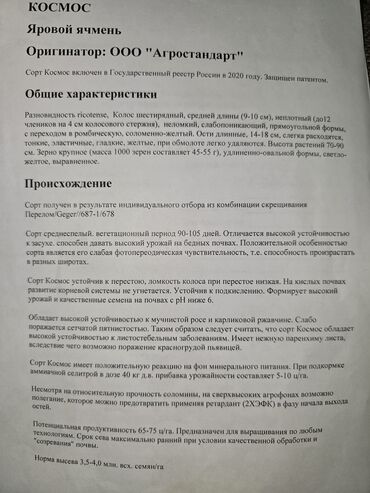 туки сена: Ячмень сорт"КОСМОС"1я репродукция
урожайность 65ц-75ц с 1га.
 Цена 20с