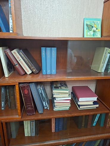 Rəflər: İşlənmiş, Kitab rəfi, Düz, Rusiya — 4
