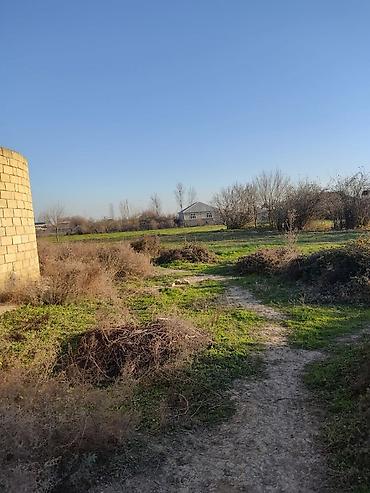 Kirayə torpaq sahələri: 100 sot Tikinti, Su — 13