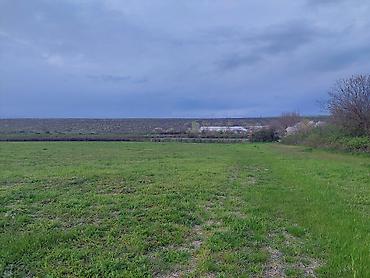 Torpaq sahələrinin satışı: Kənd təsərrüfatı — 5