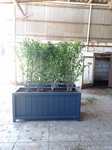 Bitkilər üçün dibçəklər: Dibçək güldanlar. Dipçəklər bir başa sexdən.Sex qiymətinə. ♦️Endrim — 9