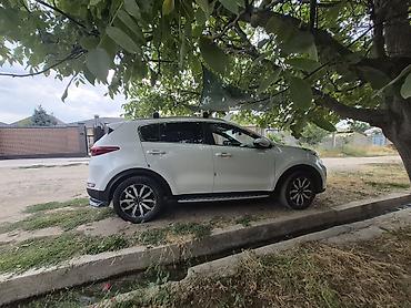 sprinter rex: Kia Sportage: 2018 г., 1.6 л, Робот, Дизель, Кроссовер — 5