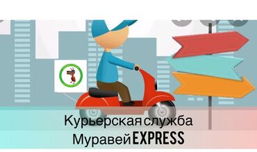служба доставки колибри: Муравей EXPRESS Курьерская служба доставки По всему Кыргызстану