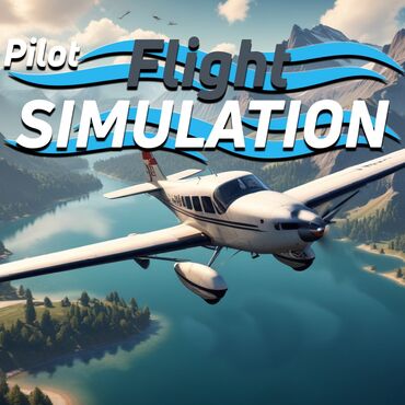 диски для игр: Загрузка игр Pilot Flight Simulation PS4&PS5