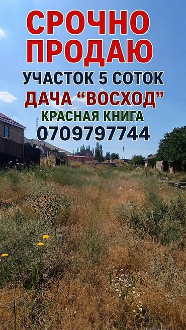 алай строй: 5 соток, Для строительства, Красная книга, Договор купли-продажи — 1