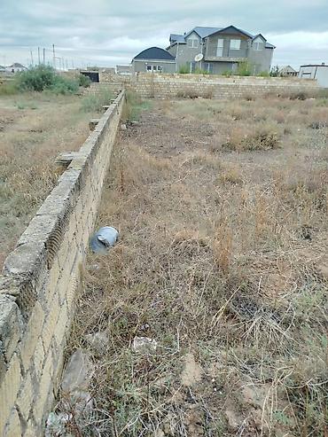 1 ha necə sotdur: 6 sot, Tikinti, Mülkiyyətçi, Kupça (Çıxarış) — 5