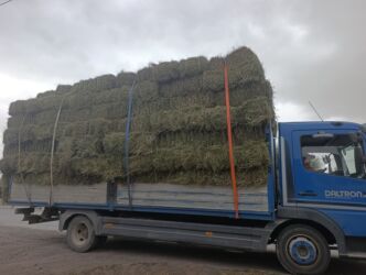 Зерновые культуры: Беде Беде Беде Клевер Клевер доставка укладка эсть. туки метровые — 1