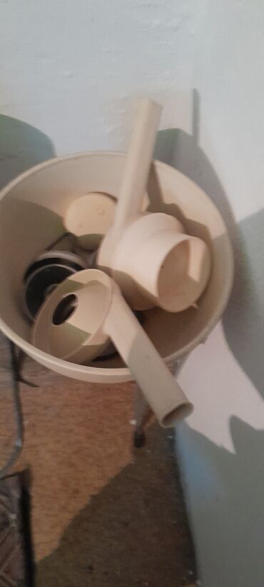 Коровы, быки: Продаю | Корова (самка), Музоо, торпок | Бельгийская | Для молока | Искусственник — 4