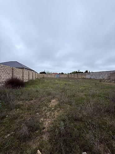 massive: 12 sot, Tikinti, Kupça (Çıxarış) — 3