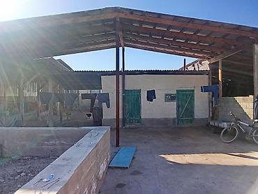 Продажа сельхоз предприятий: Продаётся недвижимость сельхозназначения с хозяйственным двором и — 4