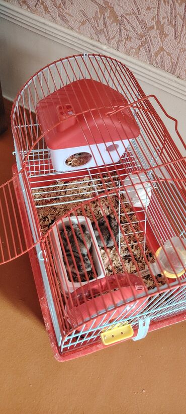 pişim: Hamster üçün qəfəs və aksesuarlar dəsti - Kompakt, iki mərtəbəli