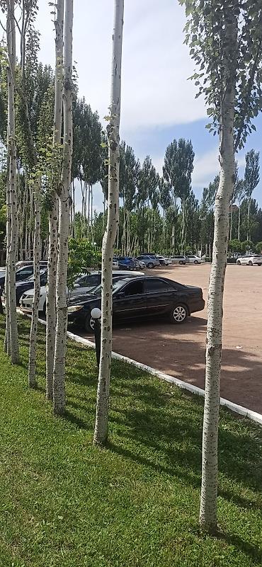 камри 40ка: Toyota Camry: 2004 г., 2.4 л, Автомат, Бензин — 3