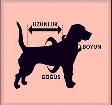 it ucun geyim: İt üçün isti kombinezon Yaxın əraziyə pulsuz çatdırma - Model: tam — 7