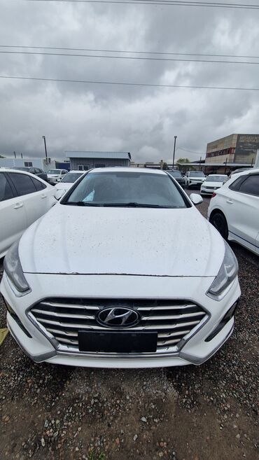 батарея на приус: Hyundai Sonata: 2019 г., 2 л, Гибрид, Седан
