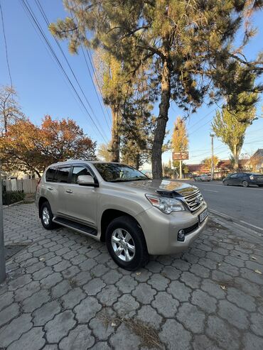 Lexus: Lexus GX: 2010 г., 4.6 л, Автомат, Бензин, Внедорожник