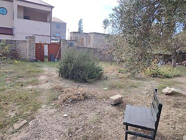 Həyət evləri və villaların satışı: NOVXANL BAĞLARI DƏNİZ KƏNARI 12 DAŞ KÜRSÜLÜ QİYMƏTDƏ ENDİRİM OLUNACAQ — 16