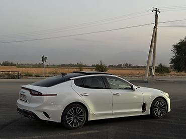 rexston khan: Kia Stinger: 2018 г., 2 л, Автомат, Бензин, Фастбек — 4