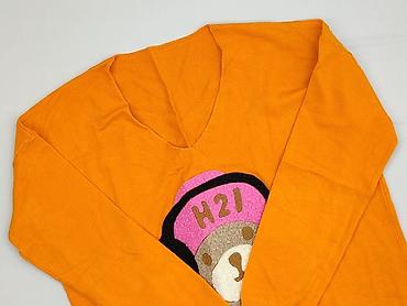and bear pull: Sweter damski, rozmiar 2XL — 1