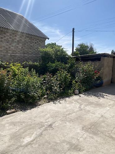 Продажа комнат: Продается дом в городе Кемин. Есть сарай, подвал, очок кана, времянка — 31
