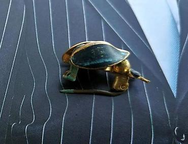 Broševi: Vtg broš Green Golden Beetle Velosiped Mornarički Baršunasti. Cena za — 4