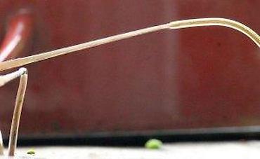 Naočare: Vintage 1980's Oversized Aviator Style Collection Vienne. Vintage — 12