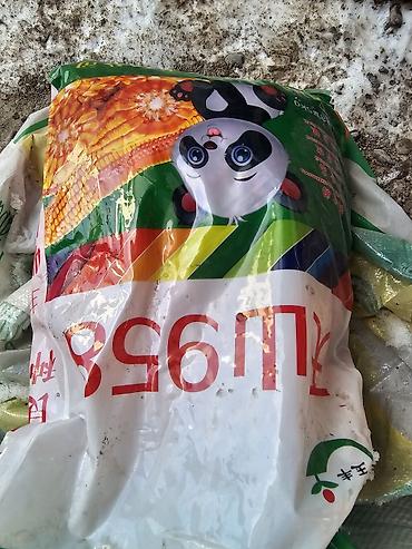 Семена льна: Семена люцерна,очищенный,магниченый,8летка Оптом и в розницу at lalafo.kg — 9 Семена льна: Семена люцерна,очищенный,магниченый,8летка Оптом и в розницу — 9