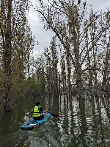 Лодки и комплектующие: Лодка, ПВХ — 9