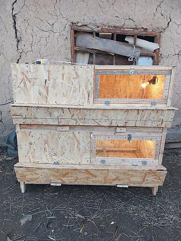 Товары и оборудование для с/х животных: Жөжөлөрго Бурдерлер Жөжө Капас Бар жөжөгө Ар кыл размер ар кыл баада at lalafo.kg — 10 Товары и оборудование для с/х животных: Жөжөлөрго Бурдерлер Жөжө Капас Бар жөжөгө Ар кыл размер ар кыл баада — 10