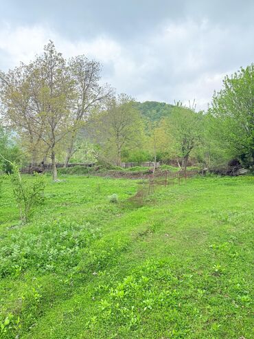 Torpaq sahələrinin satışı: 15 sot, Tikinti, Mülkiyyətçi, Kupça (Çıxarış) — 22
