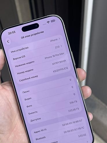 xs 256: IPhone 16 Pro Max, 256 ГБ, цвет — серебристый (на фото). На экране — 4
