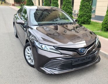 люк на камри: Toyota Camry: 2021 г., 2.5 л, Вариатор, Гибрид, Седан