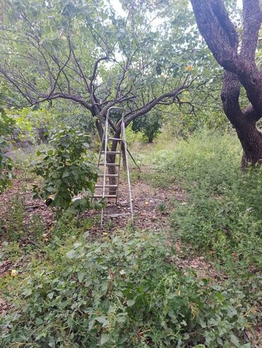 Həyət evləri və villaların satışı: 4 otaqlı, 11000 kv. m, Kredit yoxdur, Orta təmir — 2