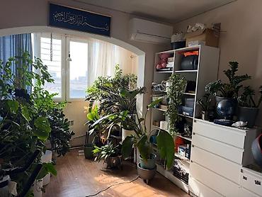 2 комнаты, 65 м², Кок-Жар ж/м 106 серия улучшенная, 4 этаж, Евроремонт