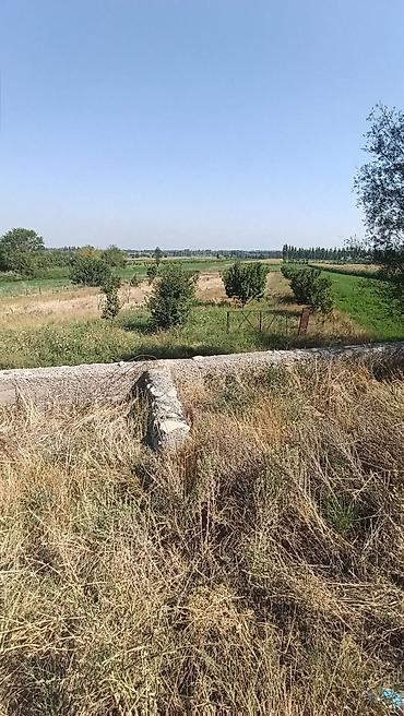 бункер цена: 30 соток, Для бизнеса, Договор дарения — 4