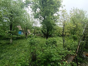 Продажа дач: Дача Кой-Таш.Кирпичный дом 6 соток."Эдельвейс".Красная книга.Все — 5