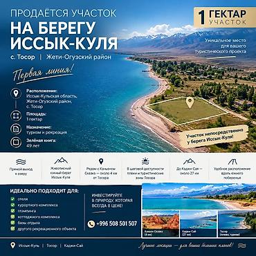 central plaza: 100 соток, Для бизнеса — 1