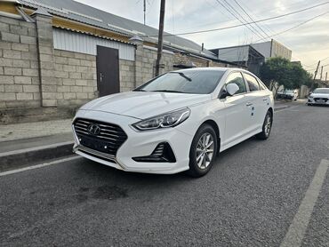 купить авто с кореи бу: Hyundai Sonata: 2019 г., 2 л, Автоматтык, Газ, Седан