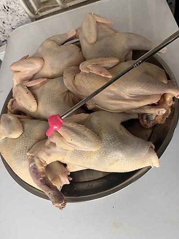 cen su: Məhsul: Qubadan gətirilən kənd məhsulları – yumurta və ev toyuğu - — 2
