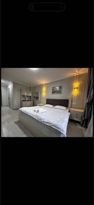 Посуточная аренда комнат: Светлая меблированная студия/комната.Гостиница Адрес Лермонтова Кирова — 7