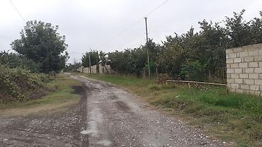 biləsuvarda ev: 2 otaqlı, 9 kv. m, Kredit yoxdur, Təmirsiz — 4